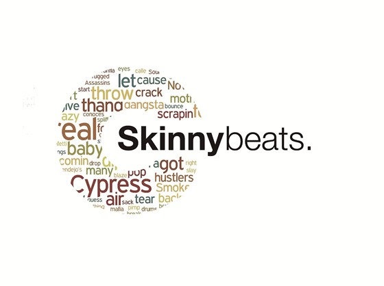 Логотипы: SkinnyBeats